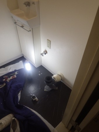 IMGP4312-e1717395625698